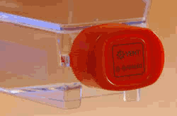 www.tnt-lab.com.ar