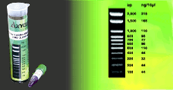 www.tnt-lab.com.ar