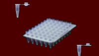 www.tnt-lab.com.ar
