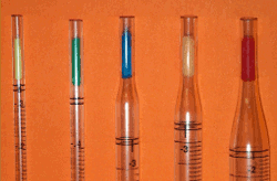 www.tnt-lab.com.ar