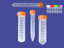 www.tnt-lab.com.ar