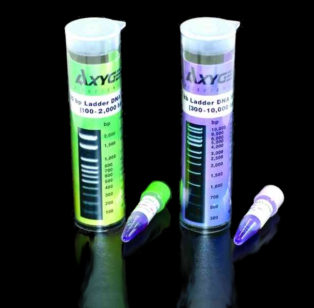 www.tnt-lab.com.ar