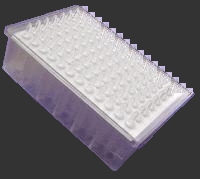 www.tnt-lab.com.ar
