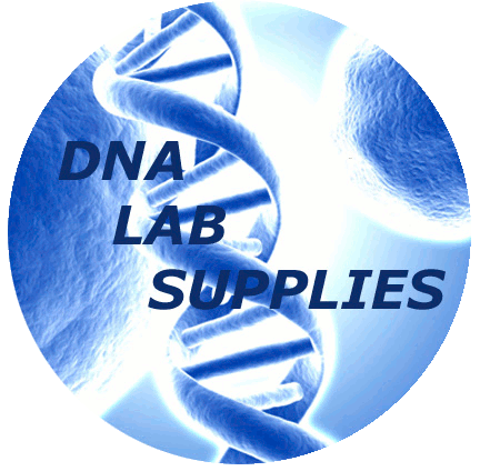 www.tnt-lab.com.ar
